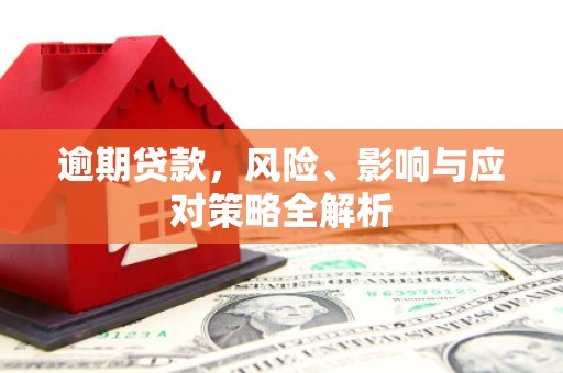 紫阳逾期贷款，风险、影响与应对策略全解析