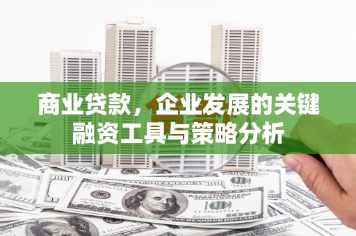 临桂商业贷款，企业发展的关键融资工具与策略分析