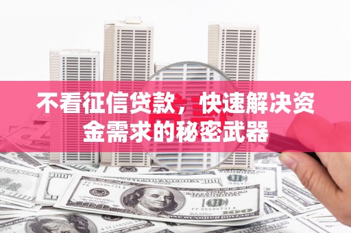 狮子不看征信贷款，快速解决资金需求的秘密武器