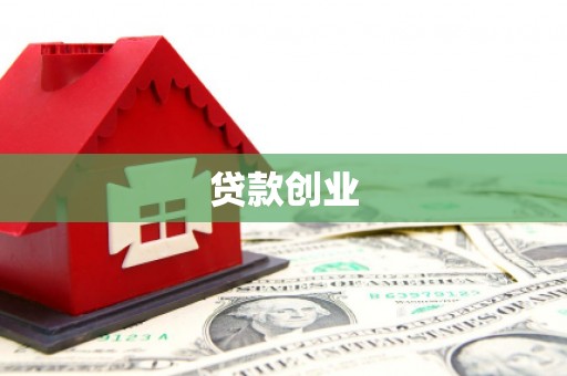 成功贷款创业