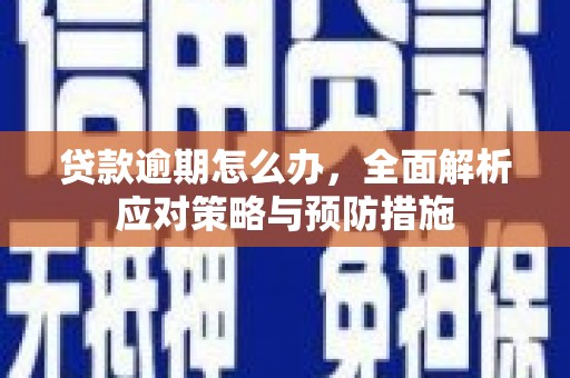 沙田贷款逾期怎么办，全面解析应对策略与预防措施