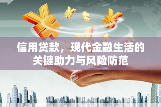 平舆信用贷款，现代金融生活的关键助力与风险防范