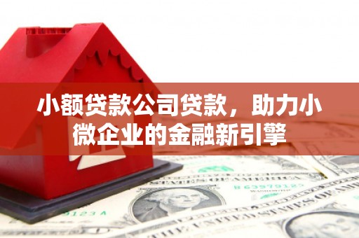 攸县小额贷款公司贷款，助力小微企业的金融新引擎