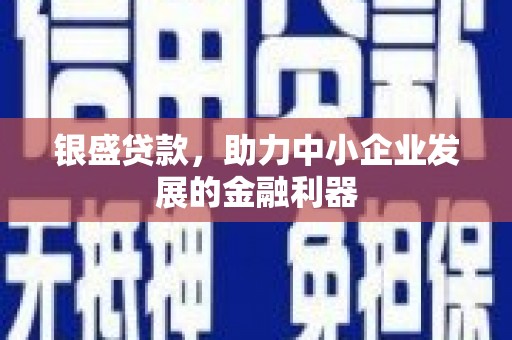 分宜银盛贷款，助力中小企业发展的金融利器