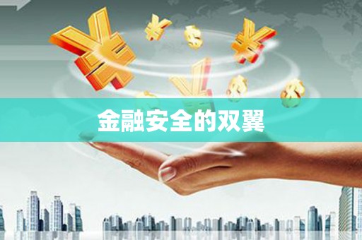 冕宁金融安全的双翼