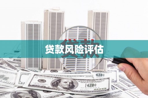 绿园贷款风险评估