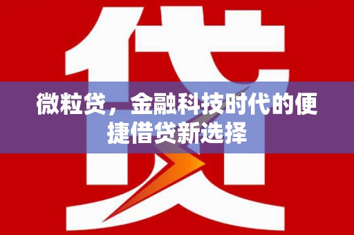 枝江微粒贷，金融科技时代的便捷借贷新选择