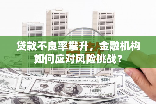 姚安贷款不良率攀升，金融机构如何应对风险挑战？