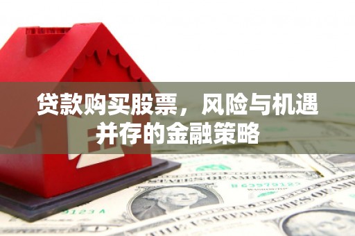 大埤贷款购买股票，风险与机遇并存的金融策略