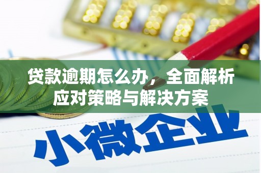 西华贷款逾期怎么办，全面解析应对策略与解决方案