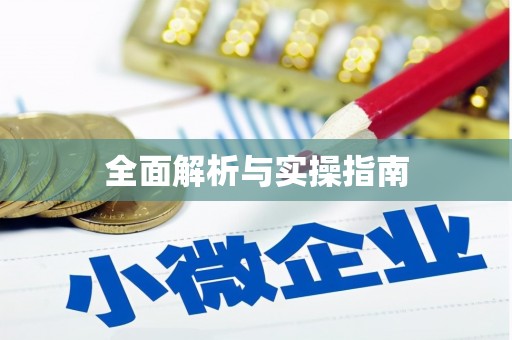 仙游全面解析与实操指南