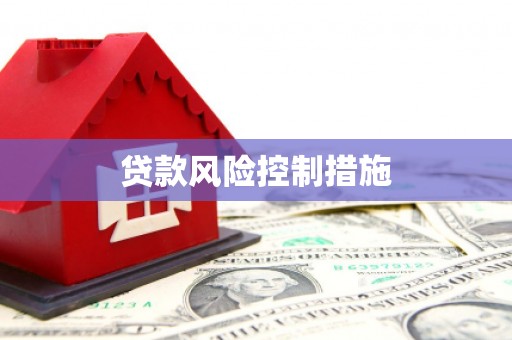 玉树贷款风险控制措施