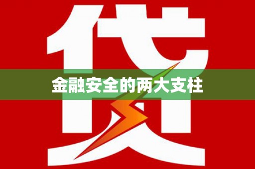 永新金融安全的两大支柱
