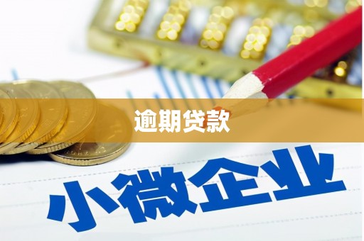 南宁逾期贷款