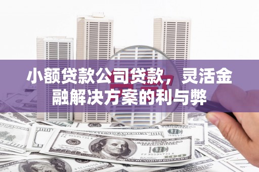 吴桥小额贷款公司贷款，灵活金融解决方案的利与弊